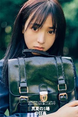 流金岁月电视剧全集免费观看